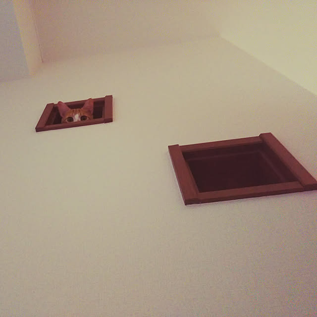 Amiamiさんの実例写真