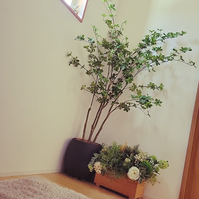 玄関/入り口/フェイクグリーン/どうだんつつじ/いいね！押し逃げばかりでごめんなさい。/いいね♪いつもありがとうございます❤️...などのインテリア実例 - 2023-05-10 10:49:55