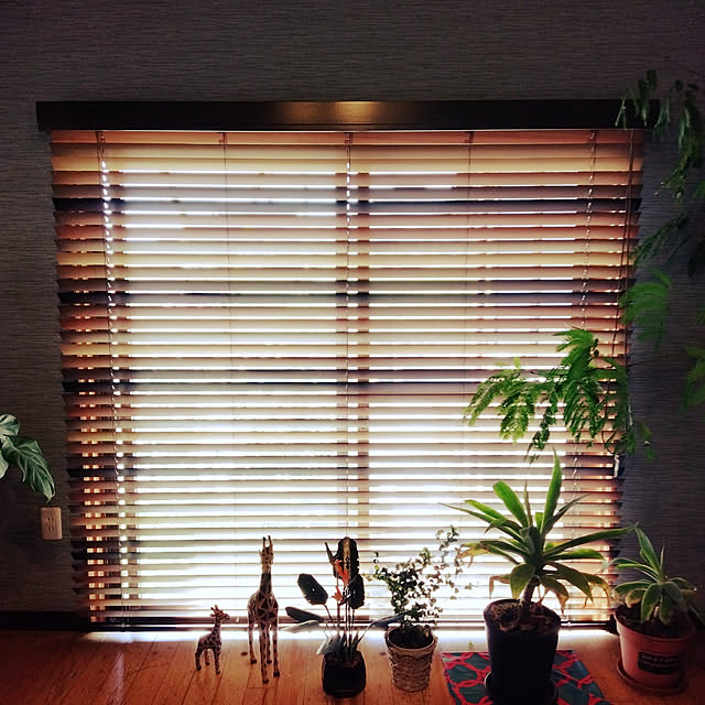 2933さんの実例写真