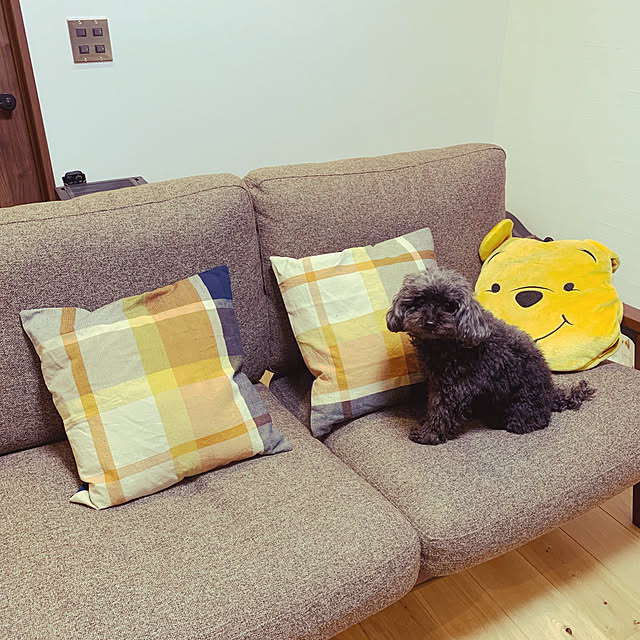 hirorinさんの実例写真
