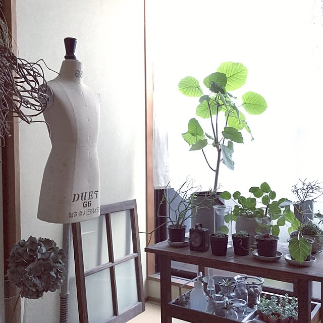 cata_coto_さんの実例写真