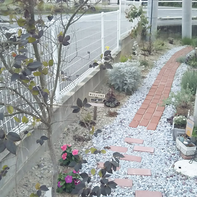 eriponさんの実例写真