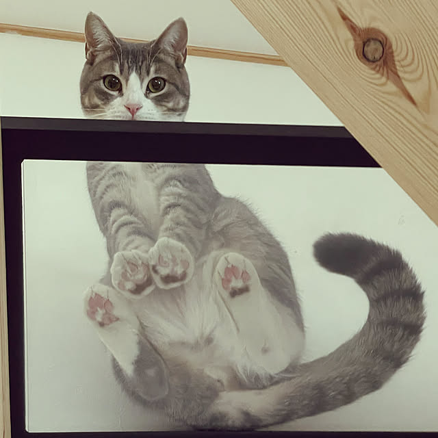 yucciさんの実例写真