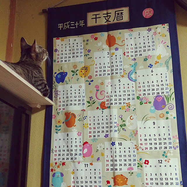 tantomeenさんの実例写真