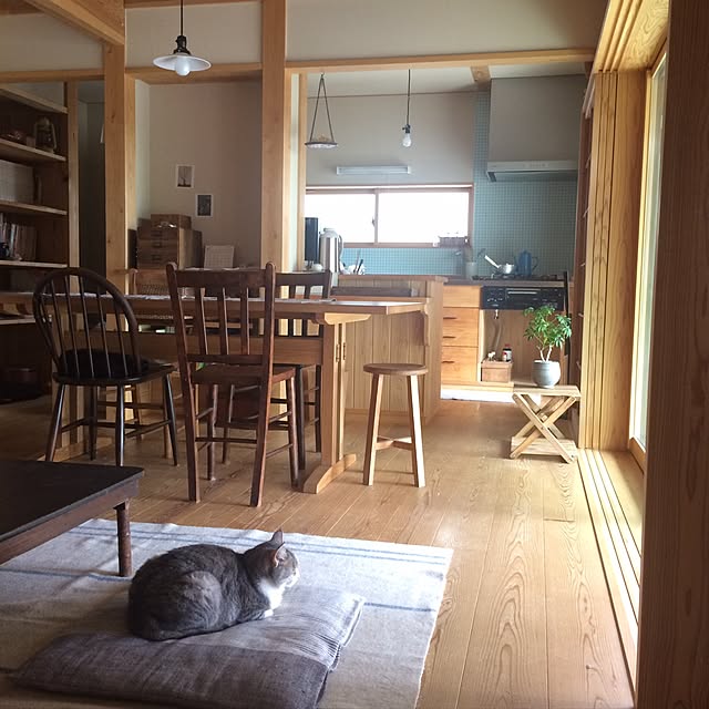 実例写真
