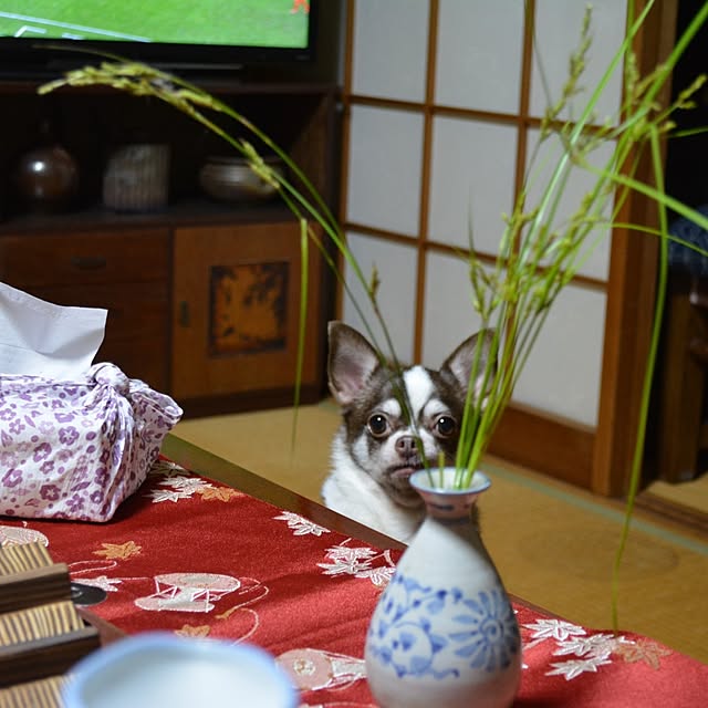 awadu-1970さんの部屋