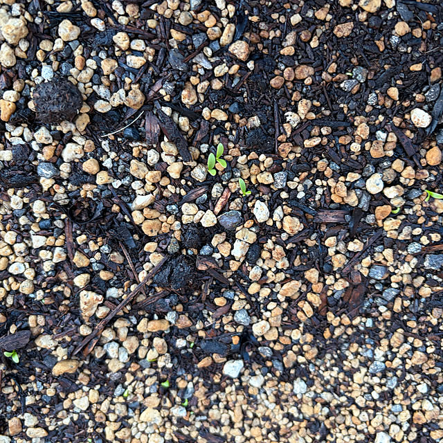 ritsukoさんの部屋