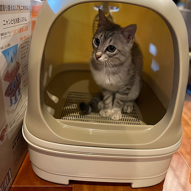 micaさんの実例写真