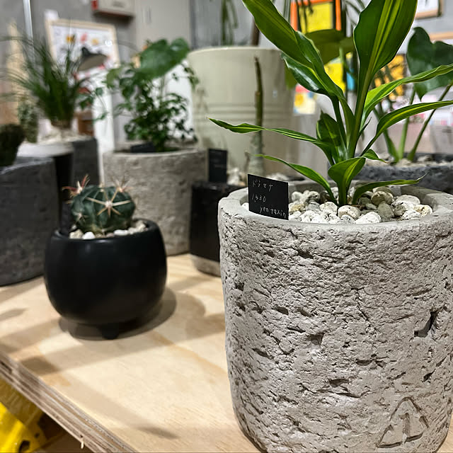 ミッドセンチュリー/雑貨/インダストリアル家具/INDUSTRIAL WORKS/ミッドセンチュリーモダン...などのインテリア実例 - 2022-01-30 00:18:42