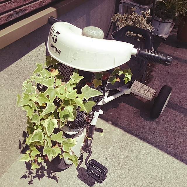 reiさんの実例写真