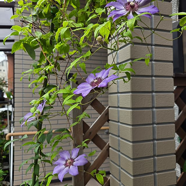 mitsuyama3136さんの実例写真