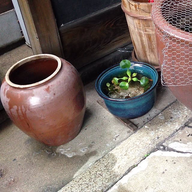 kinomiさんの実例写真