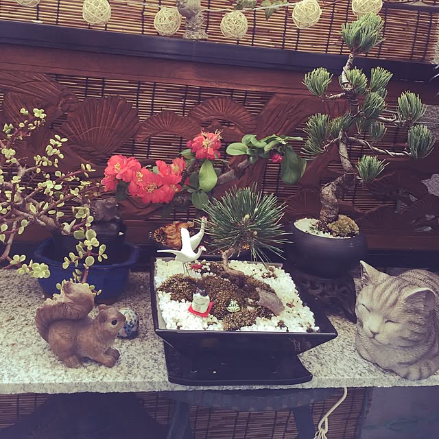 emmyyさんの実例写真