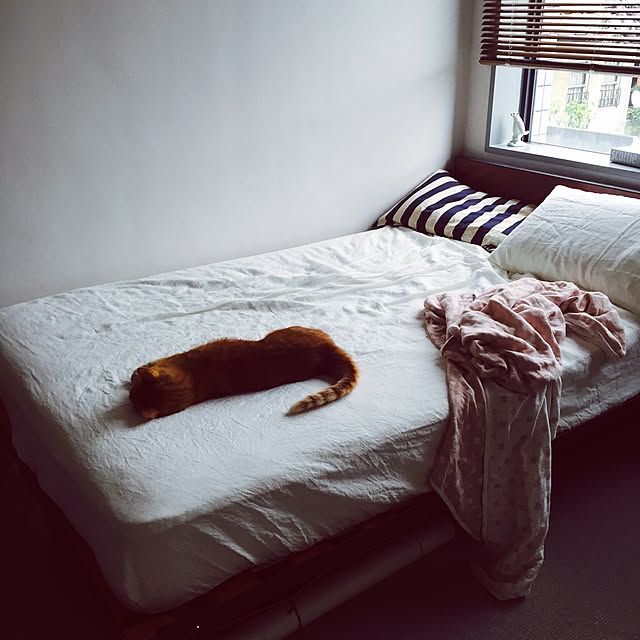1902さんの実例写真