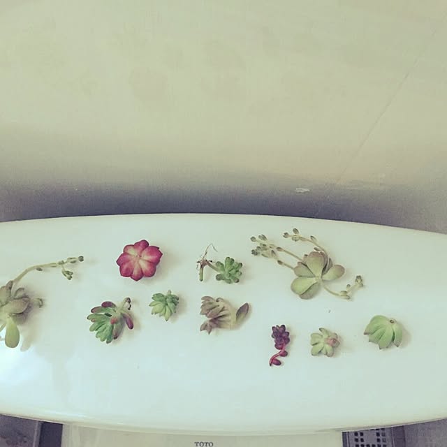 johnmayerkkさんの実例写真