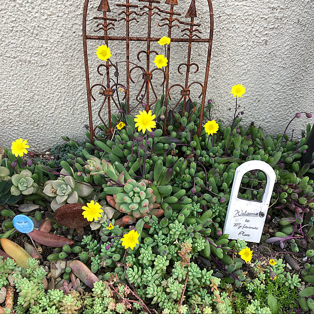 mkさんの実例写真