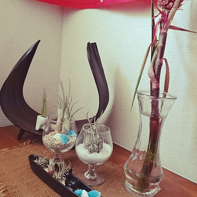 kumiさんの実例写真