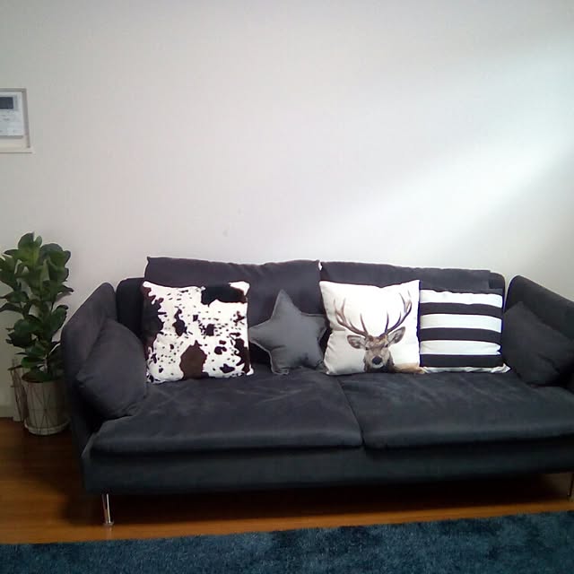 部屋全体のインテリア実例 - 2015-12-29 17:51:23