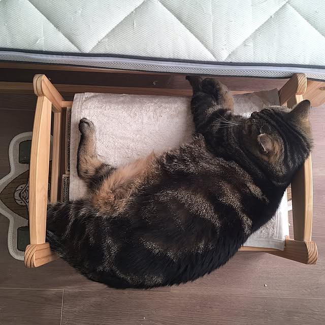 mikomaruさんの実例写真