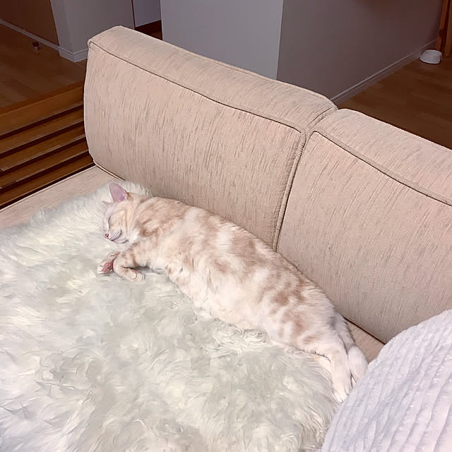 hiyupan88さんの実例写真