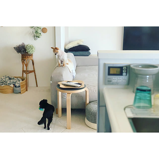 haruhinaさんの実例写真