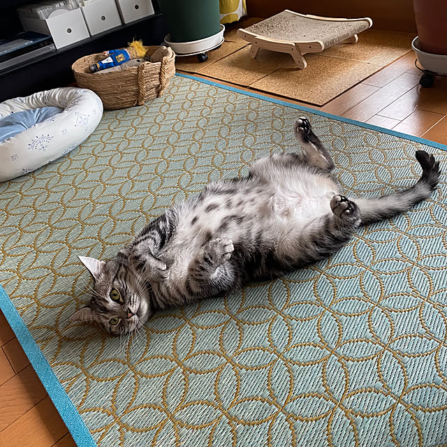 yuzuaoさんの部屋