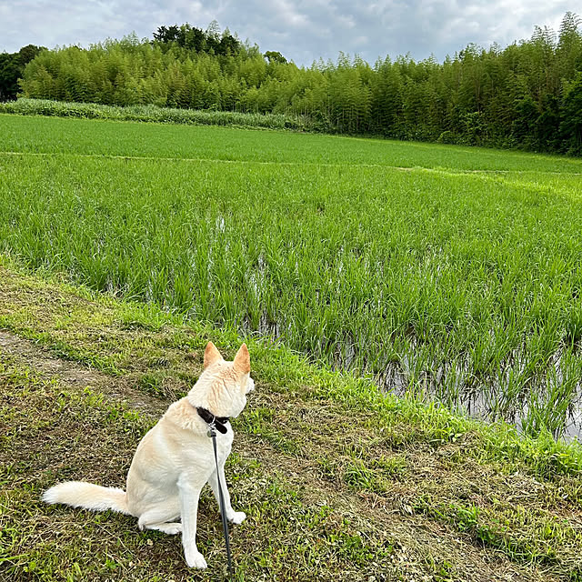 tanboさんの部屋