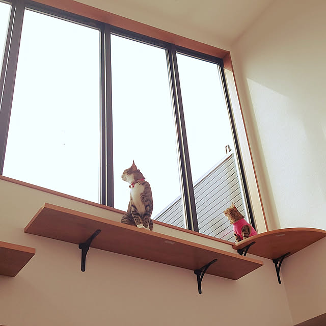 mochicoさんの実例写真
