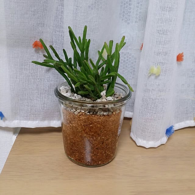 cccさんの実例写真