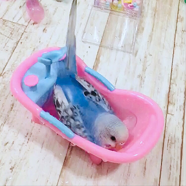 Franさんの実例写真