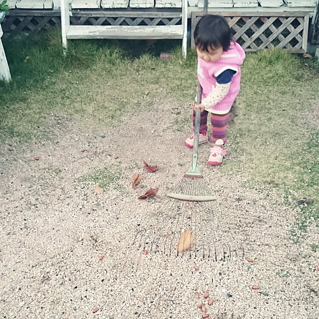 wanpakukaachanさんの実例写真