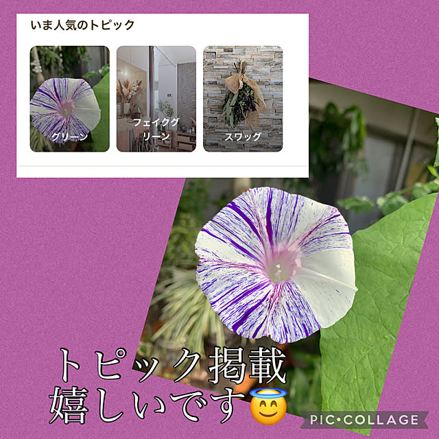 Aqettyさんの実例写真