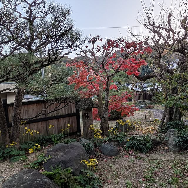 kuririnmamaさんの部屋