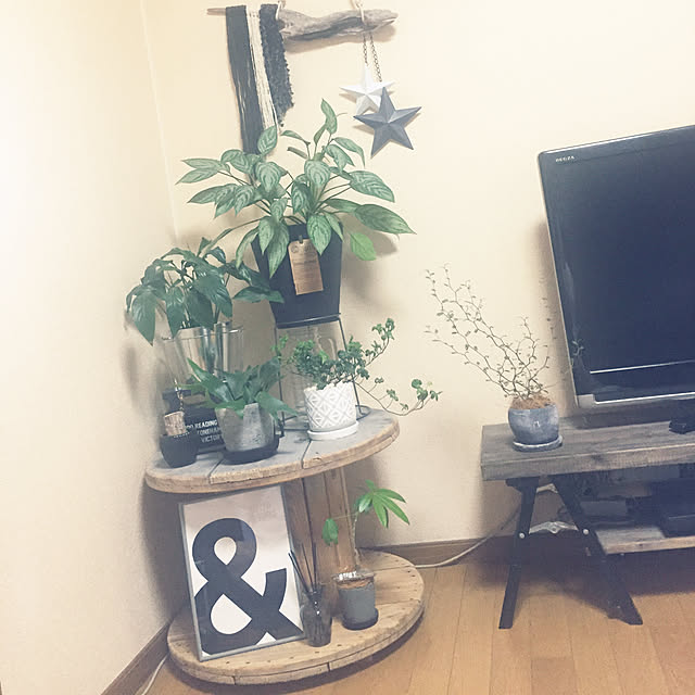 yo-koさんの実例写真