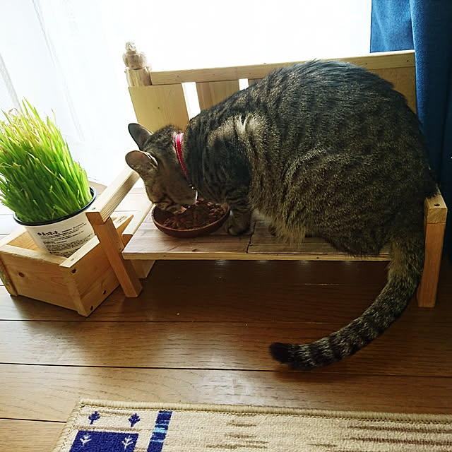 meguさんの実例写真