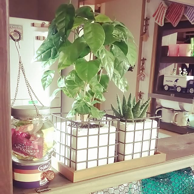 noriさんの実例写真