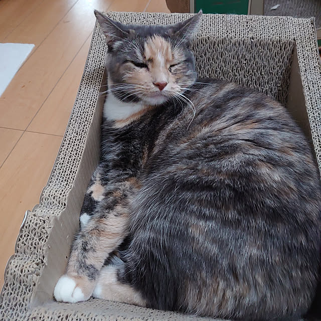 shinobuさんの実例写真