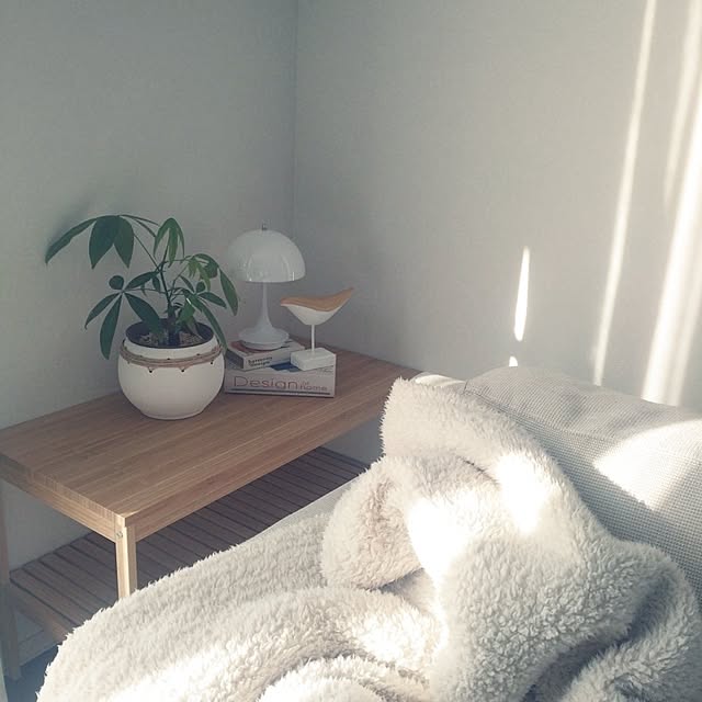 tan5さんの実例写真