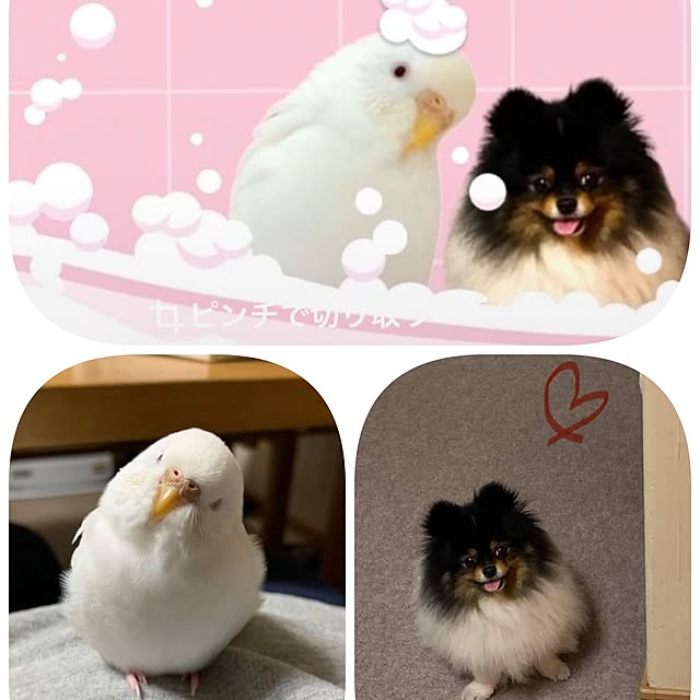 naoさんの部屋
