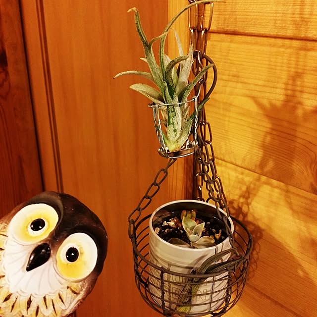 Rikiさんの実例写真