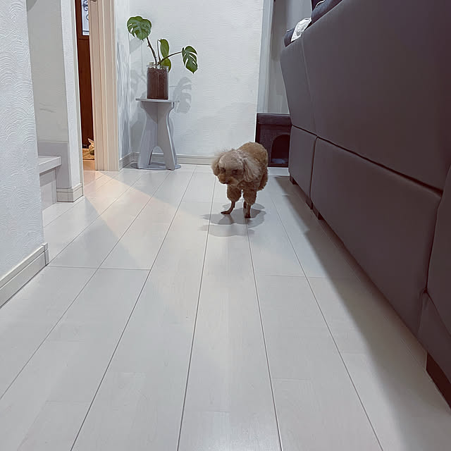 chikaさんの部屋