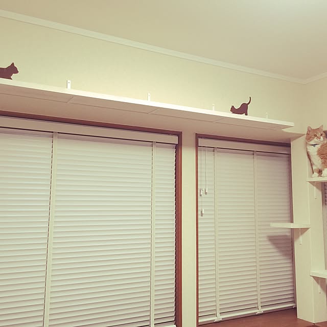my_mayさんの実例写真
