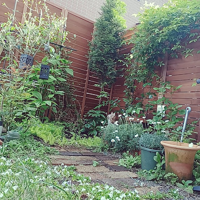 sango68さんの実例写真
