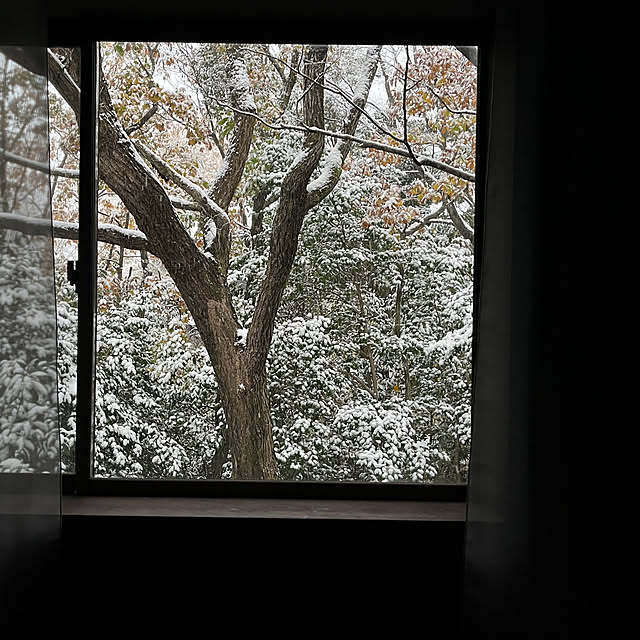 koiwaiさんの実例写真