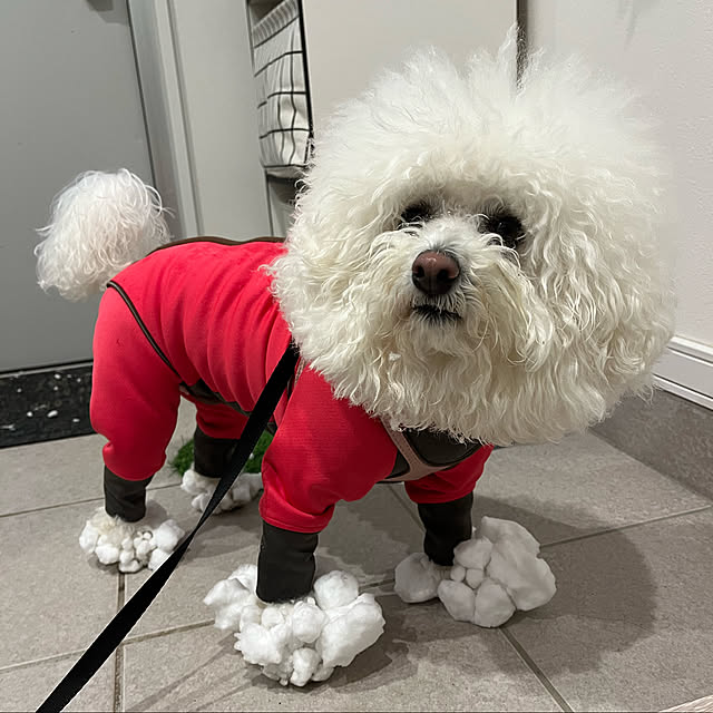 unichanさんの実例写真