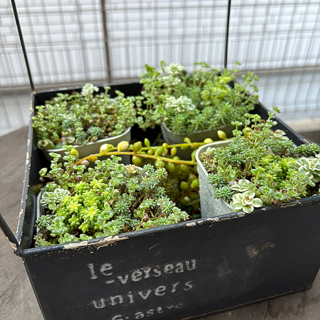 Tomominさんの部屋