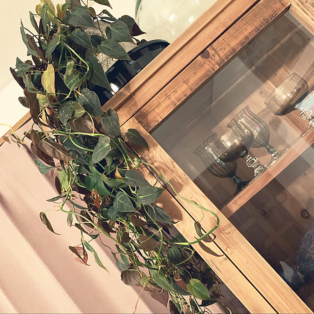 tomoyanicoさんの実例写真