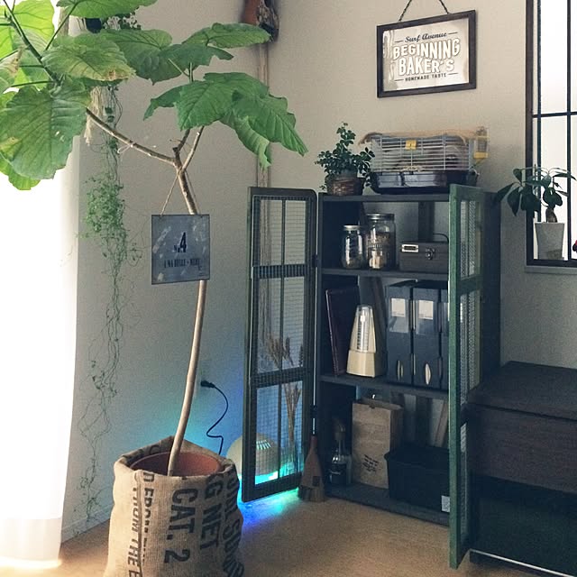 akko-rinさんの実例写真