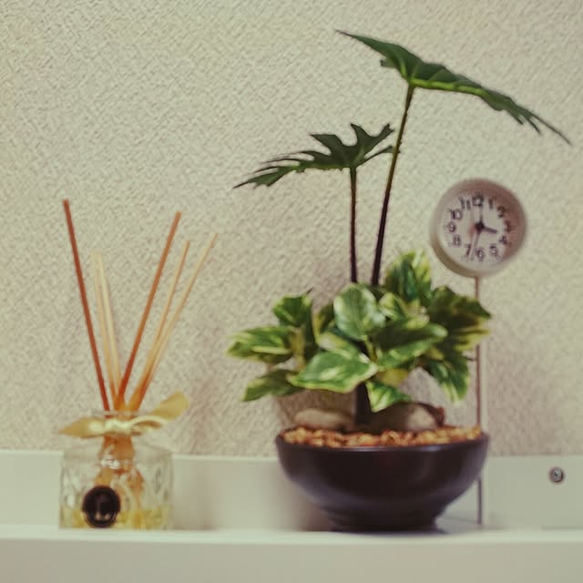 mimi828さんの実例写真