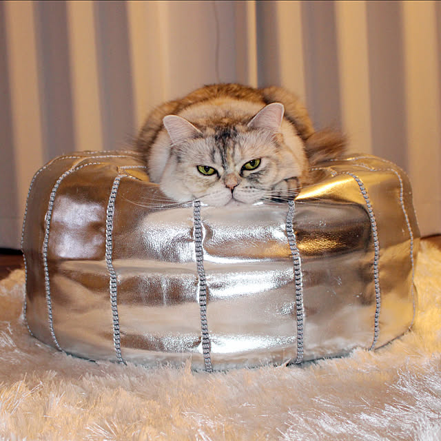 Chihiroさんの実例写真